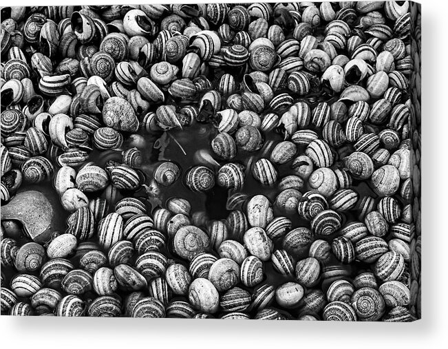 Food Acrylic Print featuring the photograph Snail Soup - Morocco by Stuart Litoff