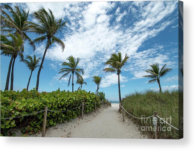 Palm Acrylic Print featuring the photograph South Beach Miami, Florida Beach Entrance with Palm Trees by Beachtown Views