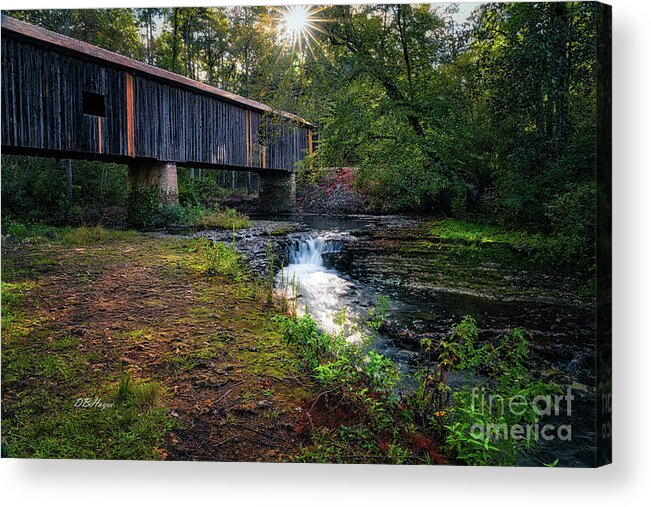 Landscapes Acrylic Print featuring the photograph Southern Gem II by DB Hayes