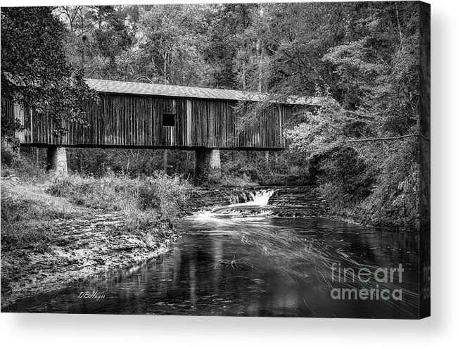 Black And White Acrylic Print featuring the photograph Southern Gem III in Black and White by DB Hayes