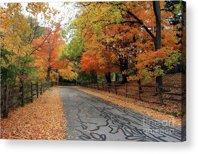 Split Rail Fence Acrylic Print featuring the photograph Split Rail Fence and Fall Color 6973 by Jack Schultz