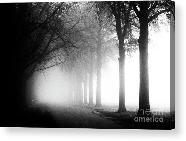 Cemetery Acrylic Print featuring the photograph Spooky Path by Pam Holdsworth
