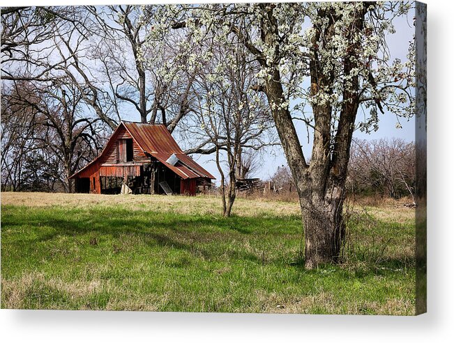 Barn Acrylic Print featuring the photograph Spring at the Farm in Tyler TX by Betty Denise