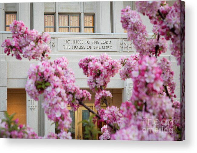 Blossom Acrylic Print featuring the photograph Spring Blossoms - Meridian Idaho Temple by Bret Barton