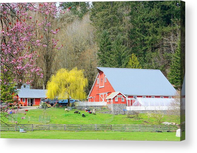 Landscape Acrylic Print featuring the photograph Spring Farm by Bill TALICH