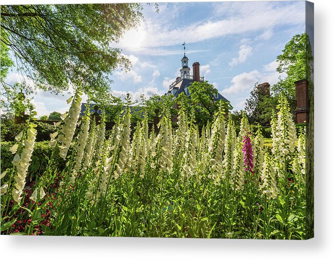 Colonial Williamsburg Acrylic Print featuring the photograph Spring Garden at the Palace by Rachel Morrison
