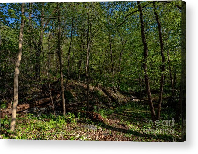 2020 Acrylic Print featuring the photograph Spring in Hudson Valey by Stef Ko