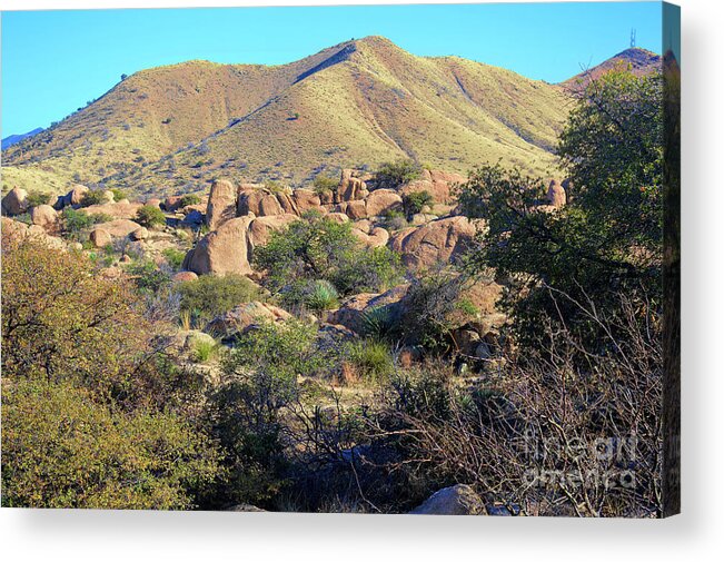 Landscape Acrylic Print featuring the photograph Spring in Texas Canyon by Diana Mary Sharpton