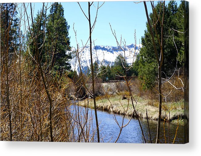 Sierra Nevada Mountains Acrylic Print featuring the pyrography Spring In The Mountains by Brent Knippel