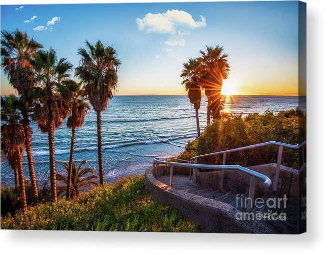 Beach Acrylic Print featuring the photograph Stairway to Swami's Beach by David Levin