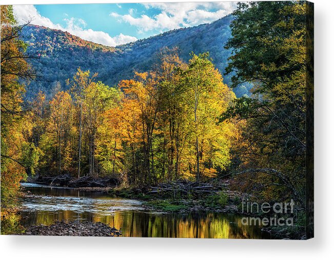 Williams River Acrylic Print featuring the photograph Standing in the Light by Thomas R Fletcher