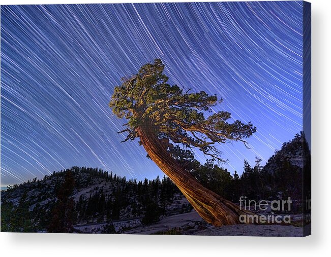 California Acrylic Print featuring the photograph Star Swept by Alice Cahill