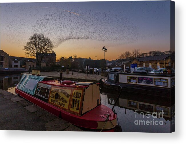 England Acrylic Print featuring the photograph Starling Murmurations by Tom Holmes Photography