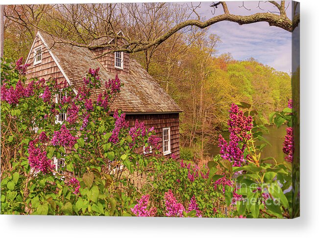 Mill Acrylic Print featuring the photograph Stony Brook Gristmill in Spring by Sean Mills
