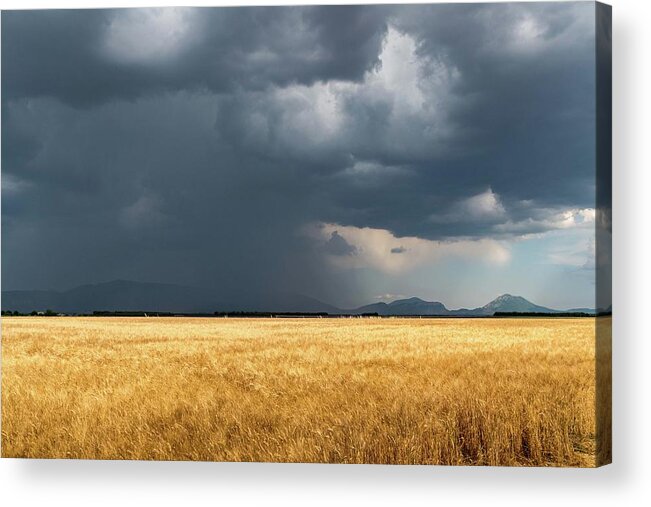 Barley Acrylic Print featuring the photograph Storm Brewing by Rob Hemphill