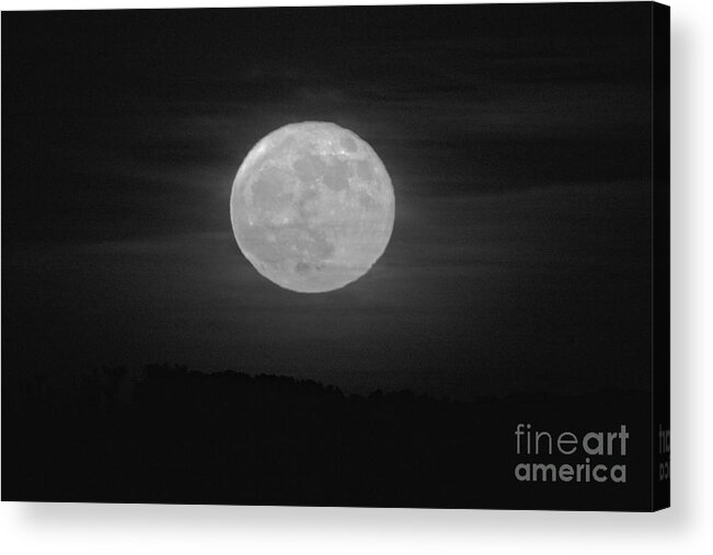 Strawberry Acrylic Print featuring the photograph Strawberry Moon Over The Chesapeake Bay Black And White by Adam Jewell
