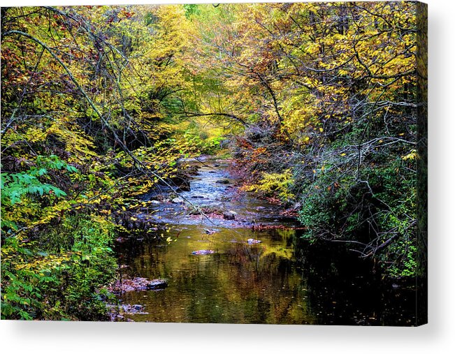 Fall Acrylic Print featuring the photograph Stream in the Smoky Mountains Autumn Colors by Debra and Dave Vanderlaan