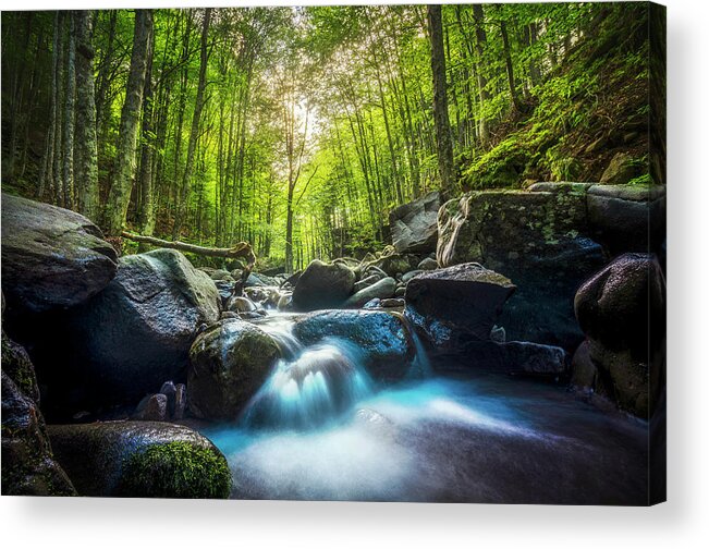 Waterfall Acrylic Print featuring the photograph Stream waterfall inside a forest. Tuscany by Stefano Orazzini
