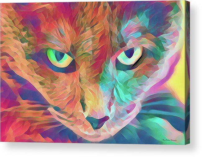 Cat Acrylic Print featuring the photograph Neon Cat 1 by Mary Walchuck