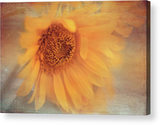 Sunflower Acrylic Print featuring the photograph Sunflower by Magda Bognar