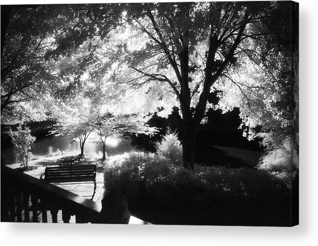 Infrared Black And White Acrylic Print featuring the photograph Summer at Quiet Waters No.7 - Infrared Black and White Film Photograph by Steve Ember
