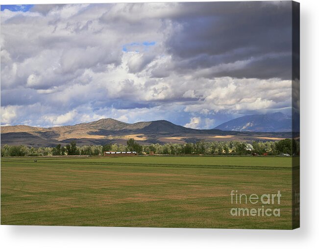 Cloudy Sky Acrylic Print featuring the photograph Summer Clouds over Hayfield by Kae Cheatham