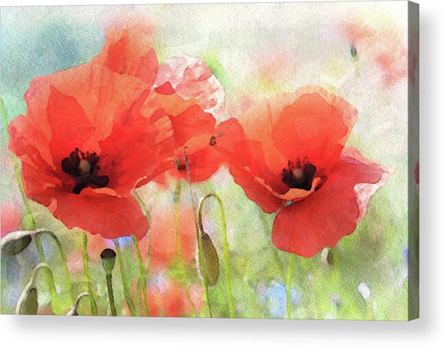 Summer Poppies Acrylic Print featuring the painting Summer Poppies by Susan Maxwell Schmidt