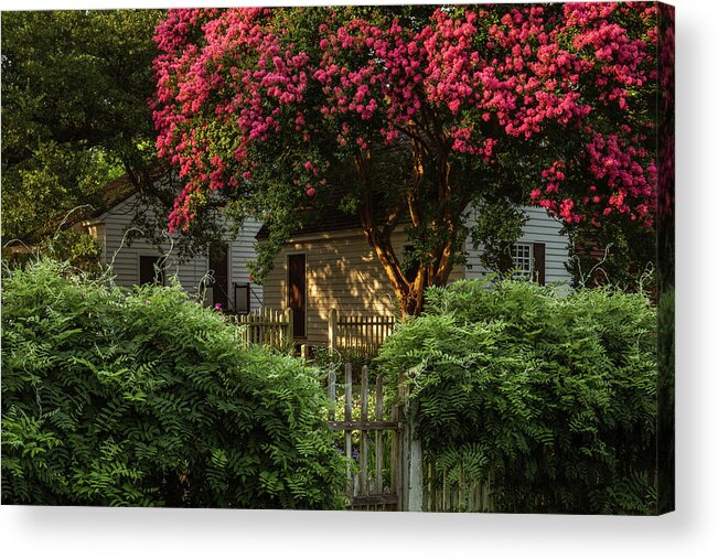 Colonial Williamsburg Acrylic Print featuring the photograph Summer Sunset in a Garden by Rachel Morrison