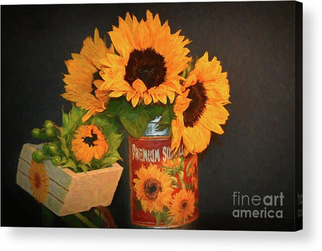 Sunflowers Acrylic Print featuring the photograph Summer Texas Flower by Diana Mary Sharpton