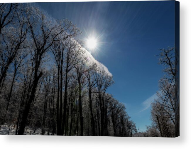Snow Acrylic Print featuring the photograph Sun striking tree branches with ice on limbs sunburst by Dan Friend