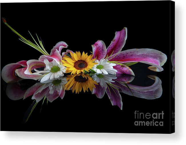 Reflections Acrylic Print featuring the photograph Sunflower by Patti Schulze