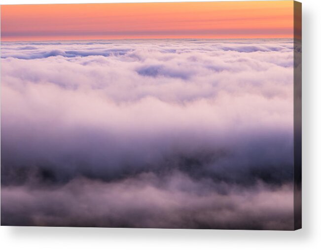 Fog Acrylic Print featuring the photograph Sunkissed by Shelby Erickson