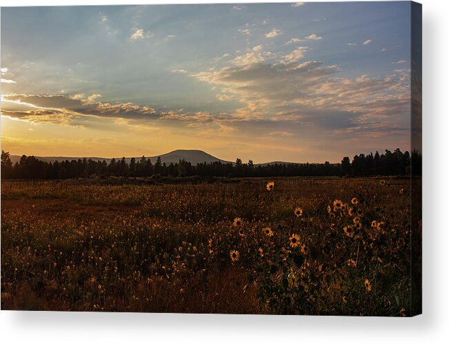 Sunset Acrylic Print featuring the photograph Incandescence by Laura Putman