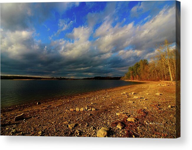 Landscape Acrylic Print featuring the photograph Sunny Shore by Mary Walchuck