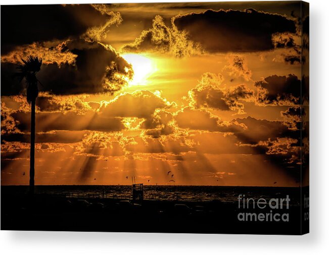 Sunrise Photography Acrylic Print featuring the photograph Sunrise in Galveston by Diana Mary Sharpton