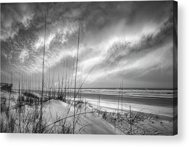 Black Acrylic Print featuring the photograph Sunrise Ocean Breezes Black and White by Debra and Dave Vanderlaan