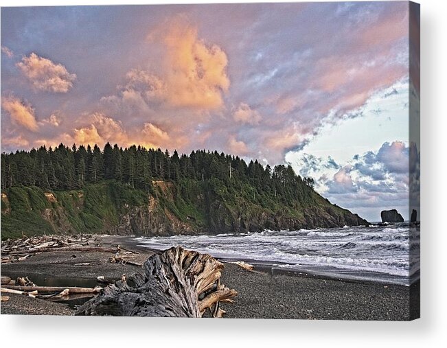 Rough Acrylic Print featuring the photograph Sunset and driftwood by David Desautel