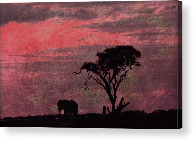 Elephant Acrylic Print featuring the digital art Sunset Elephant by Russel Considine