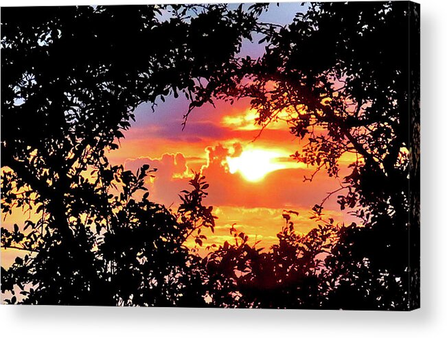 Sunset Acrylic Print featuring the photograph Sunset Framed by Nature by Linda Stern