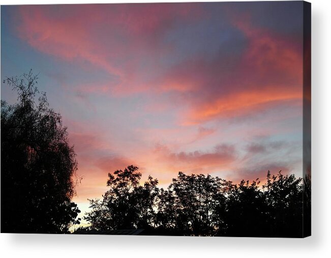 Sunset Acrylic Print featuring the photograph Sunset in the Wind by Michele Myers