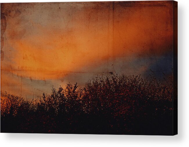 Land Acrylic Print featuring the photograph Sunset light by Yasmina Baggili
