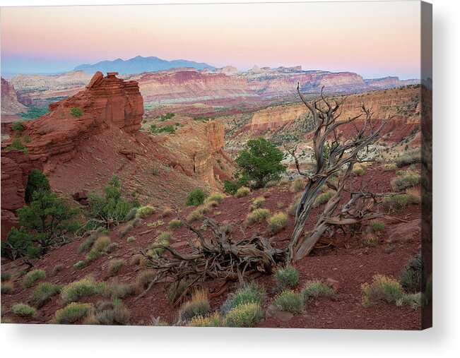 Utah Acrylic Print featuring the photograph Sunset on Capitol Reef by Aaron Spong
