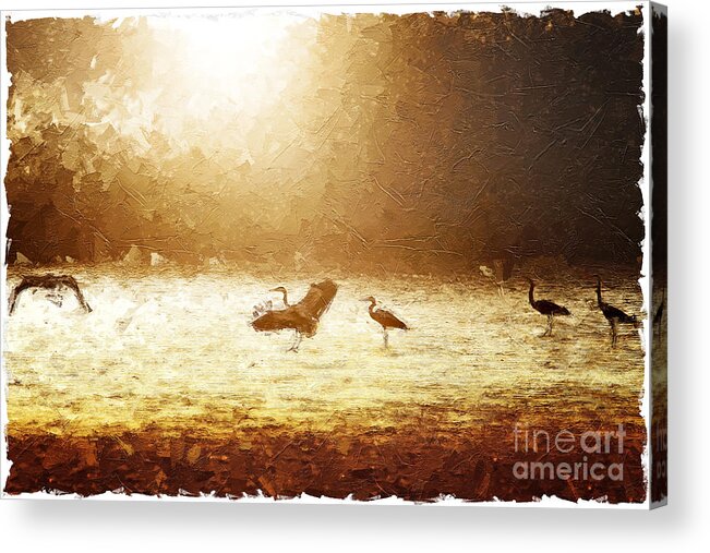 Sunset Acrylic Print featuring the painting Sunset on pond with heron bird oil by Gregory DUBUS