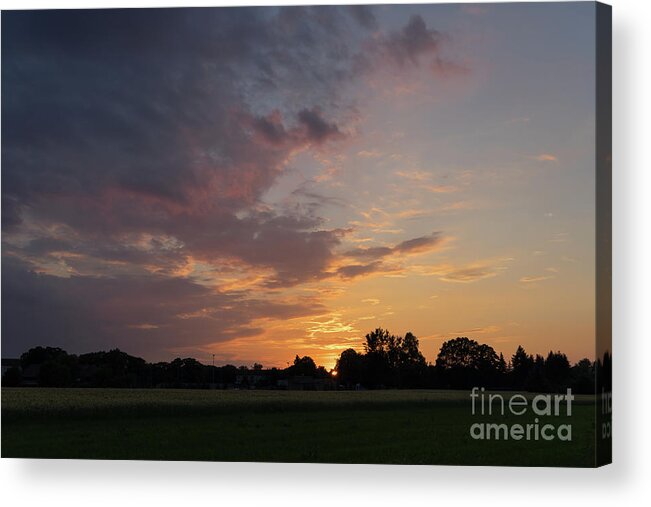 Sunset Acrylic Print featuring the photograph Sunset at the edge of the forest 2 by Adriana Mueller