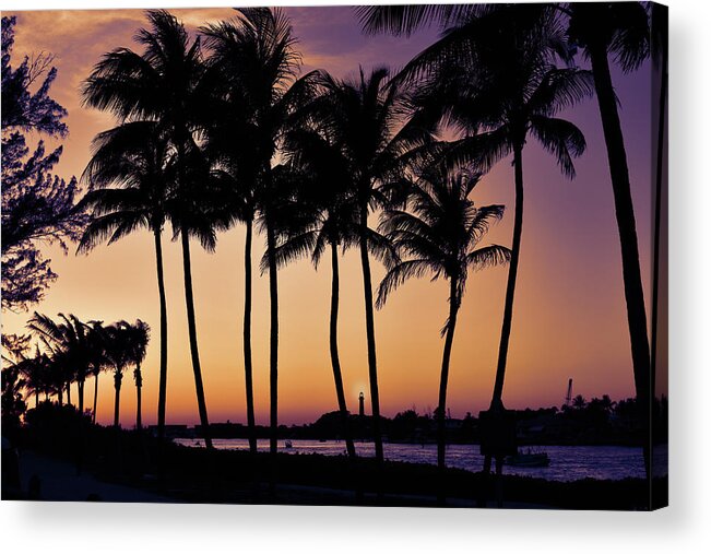 Palm Tree Acrylic Print featuring the photograph Sunset Palms at Jupiter Inlet by Laura Fasulo