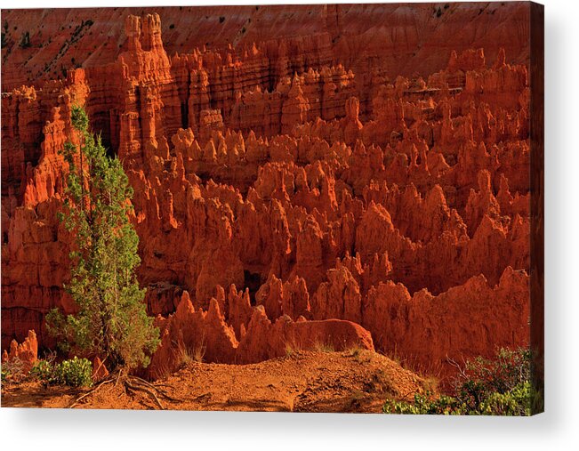 Sunset Point Acrylic Print featuring the photograph Sunset Point by Stephen Vecchiotti
