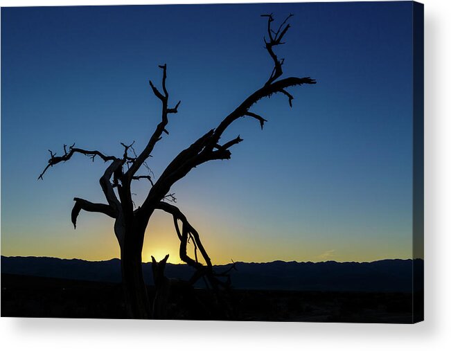 Dead Acrylic Print featuring the photograph Sunset Silhouette by Mike Schaffner