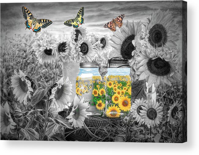 Spring Acrylic Print featuring the photograph Sunshine in a Jar Black and White by Debra and Dave Vanderlaan