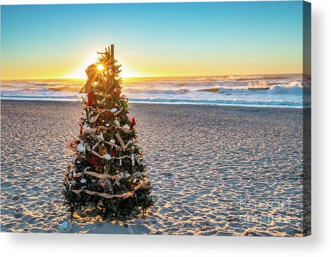Beach Acrylic Print featuring the photograph Sunstar Christmas Tree by Erin O'Keefe