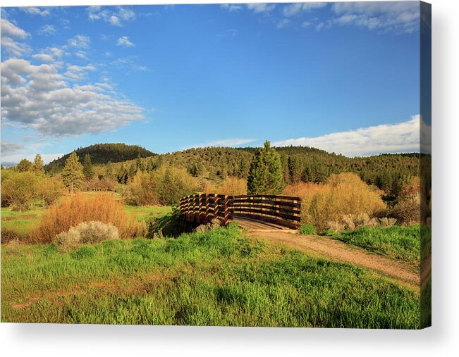 Trail Acrylic Print featuring the photograph Susanville Ranch Park Bridge by James Eddy